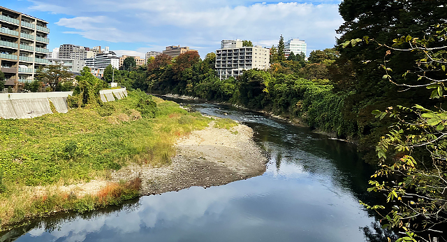 広瀬川の河原