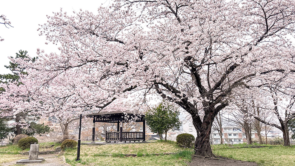 肉のいとう肉の日キャンペーン