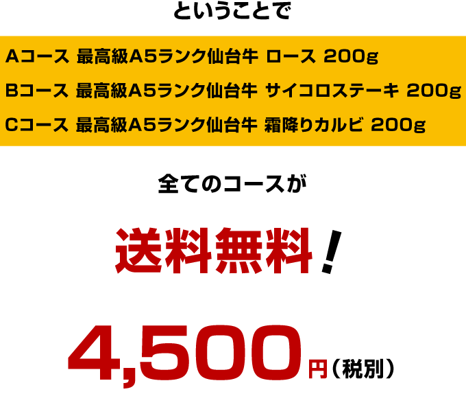 送料無料！4,500円（税抜き）