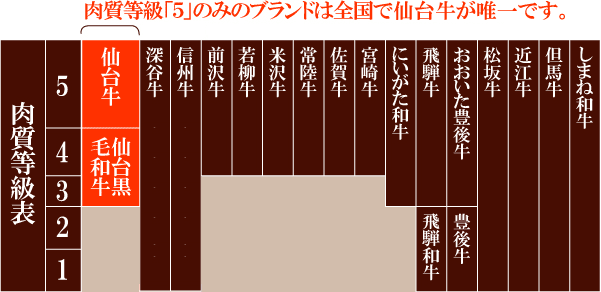 肉質等級表－仙台牛は全国で唯一、5等級のみ