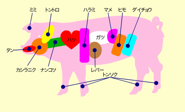 お肉の豆知識5 豚内の部位図 A5仙台牛 肉厚牛たん お肉良い肉ドットコム