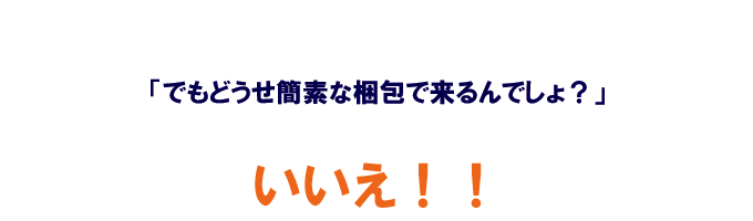 でもどうせ簡易包装でしょ？いいえ！