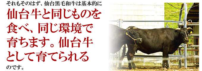 仙台黒毛和牛 サーロインステーキ